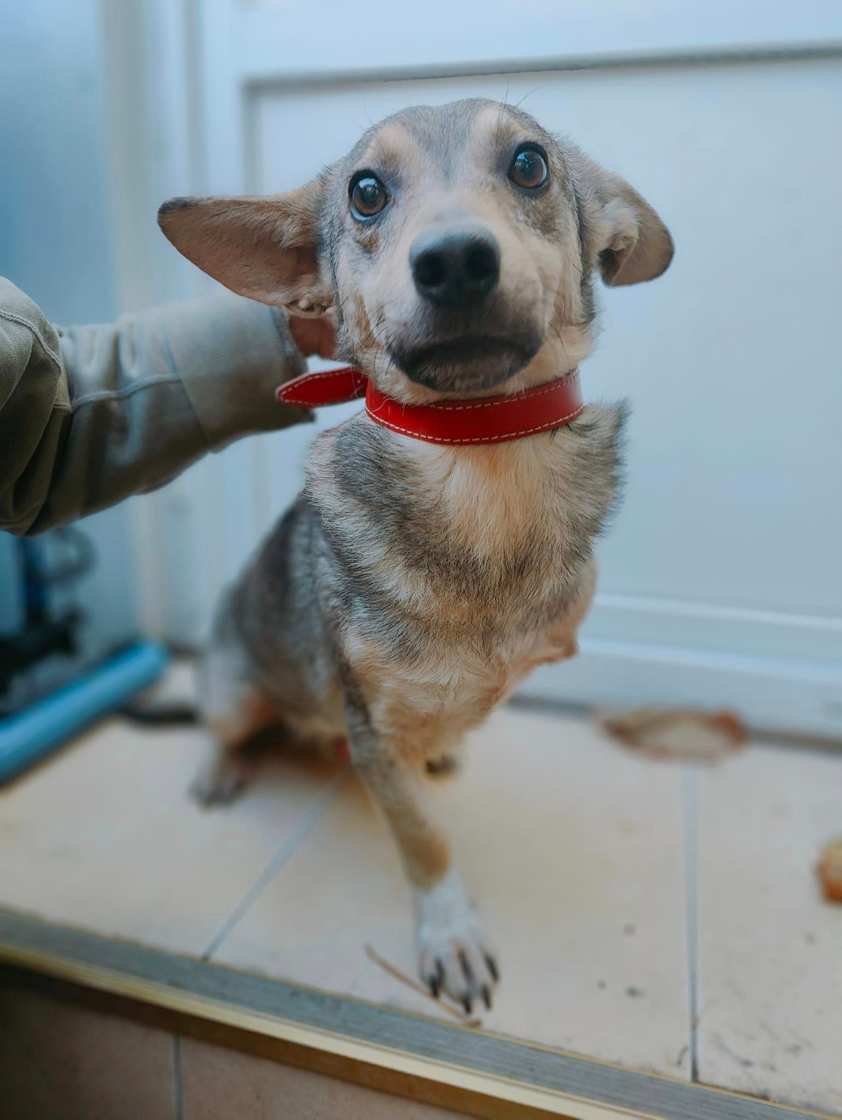 Departure day 26.01.2024! 🥳🥰🍀