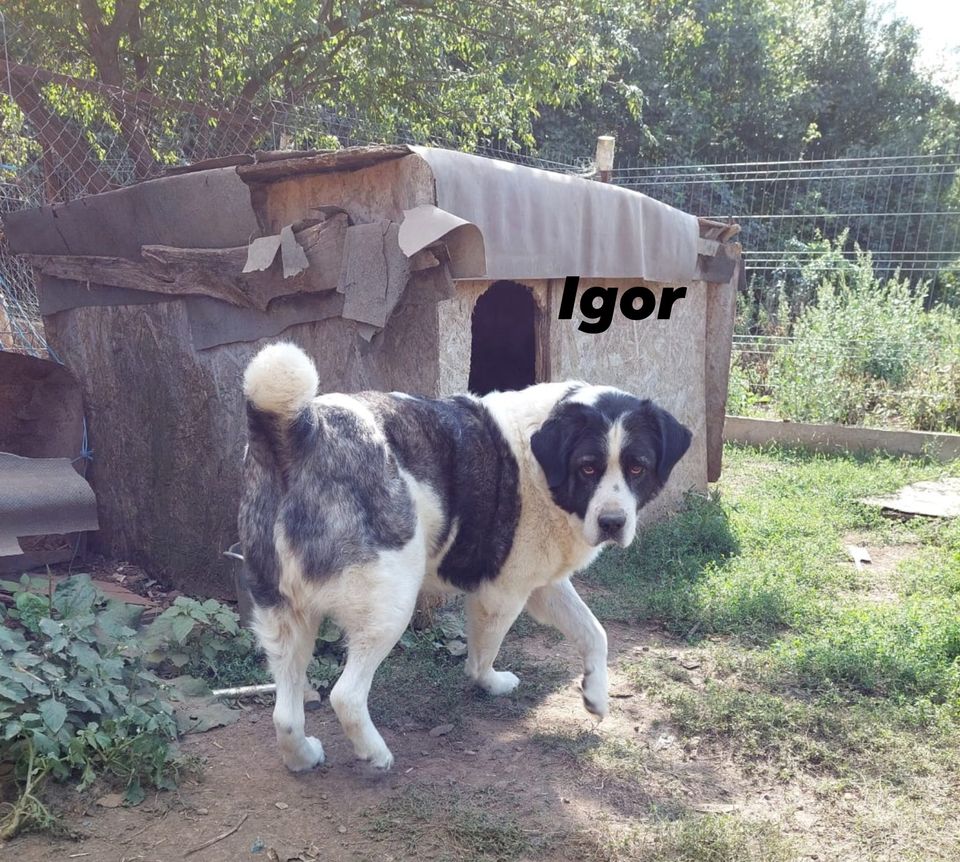 Departure day 23.02.2024! 🙏🥰🍀