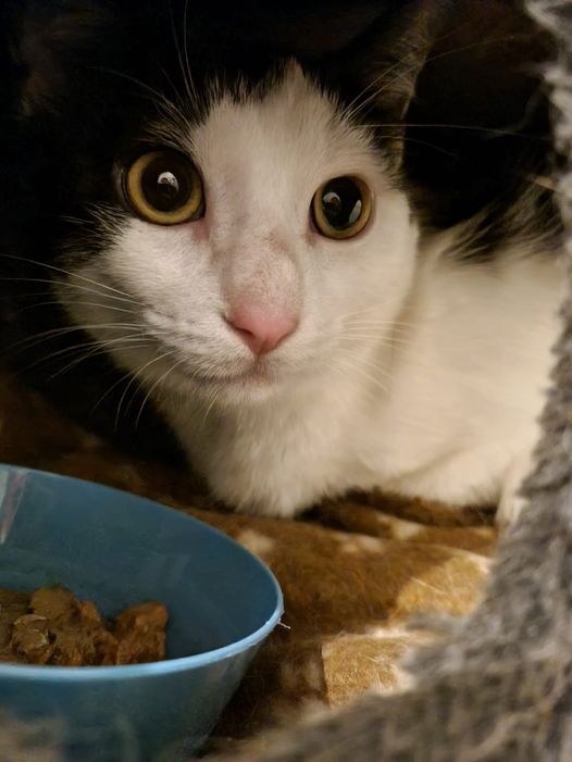 Pretty Pam arrived safely last week 🥰🙏