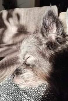 Reya is now called Martha, and she is very happy 💖🤗