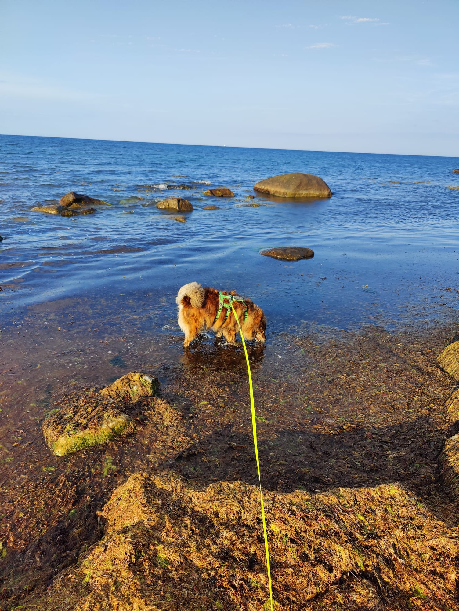 Lushi is on vacation and sends her love! 💖🤗