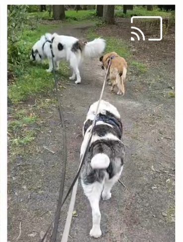 Igor is happy in his home! 🤗💖