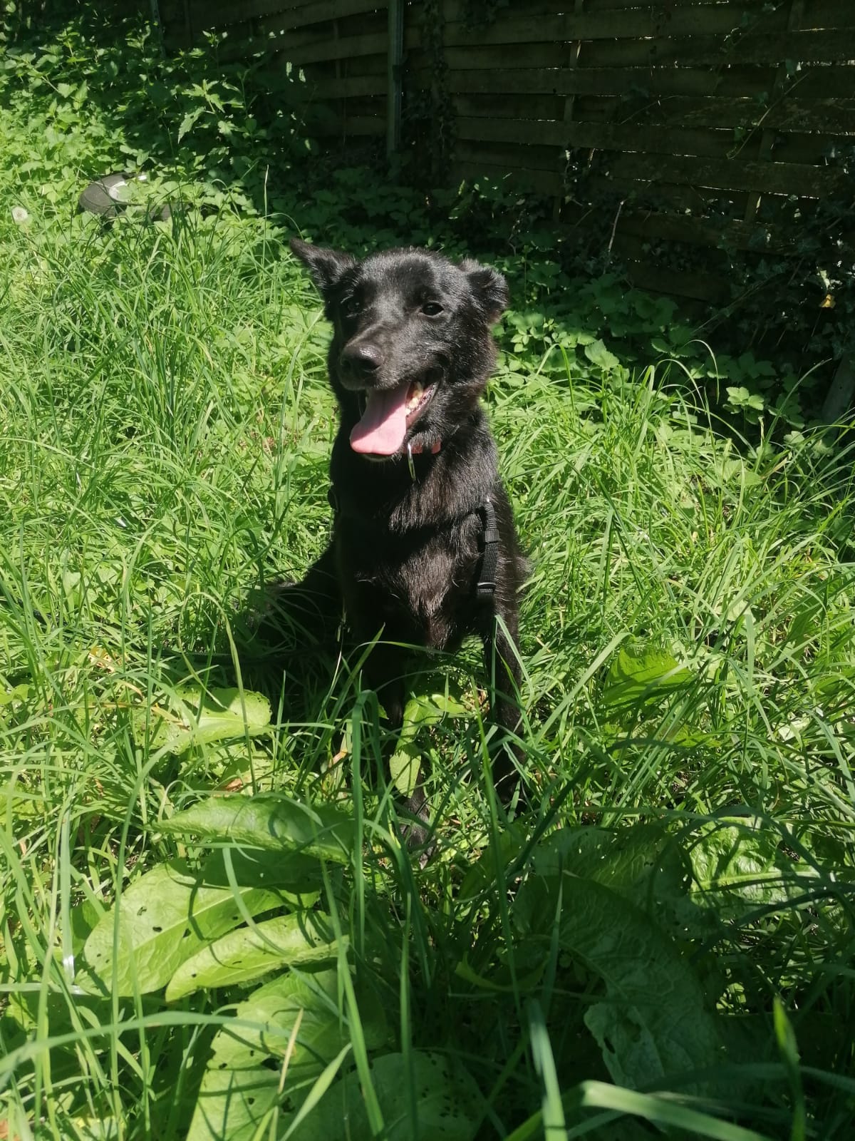 Peggy has arrived safely and is enjoying the fresh grass and cooler weather! 🤗🥰