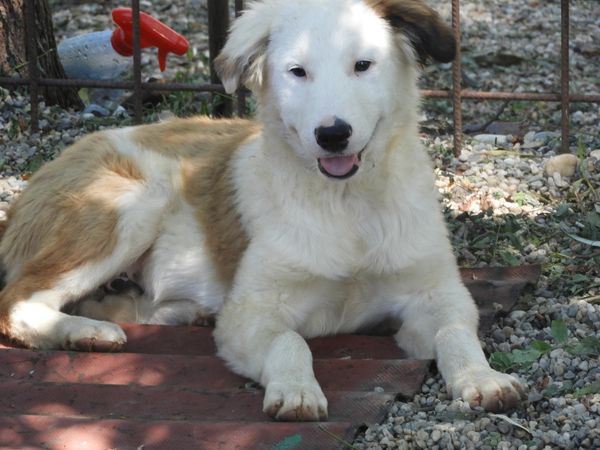 Departure day 02.08.2024! 🍀🙏💖