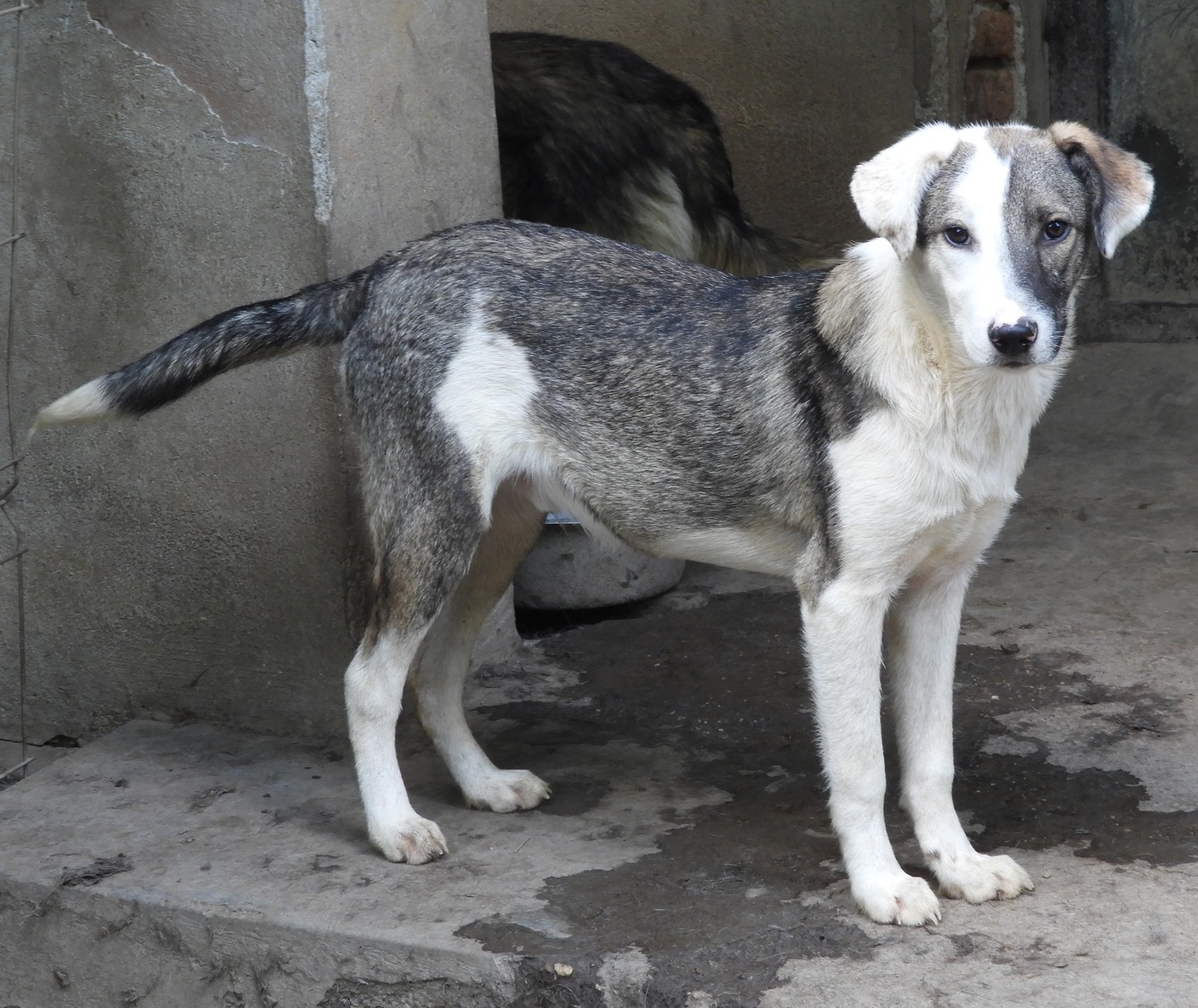 Departure day 16.08.2024! 🥰🍀