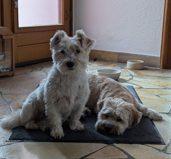 Teddy (Bram) sends his love! 🤗🥰