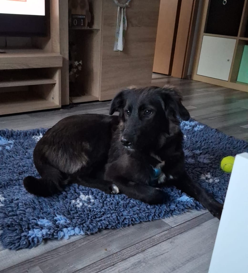 Luna, who was eagerly awaited, has arrived safely! 🤗🥰