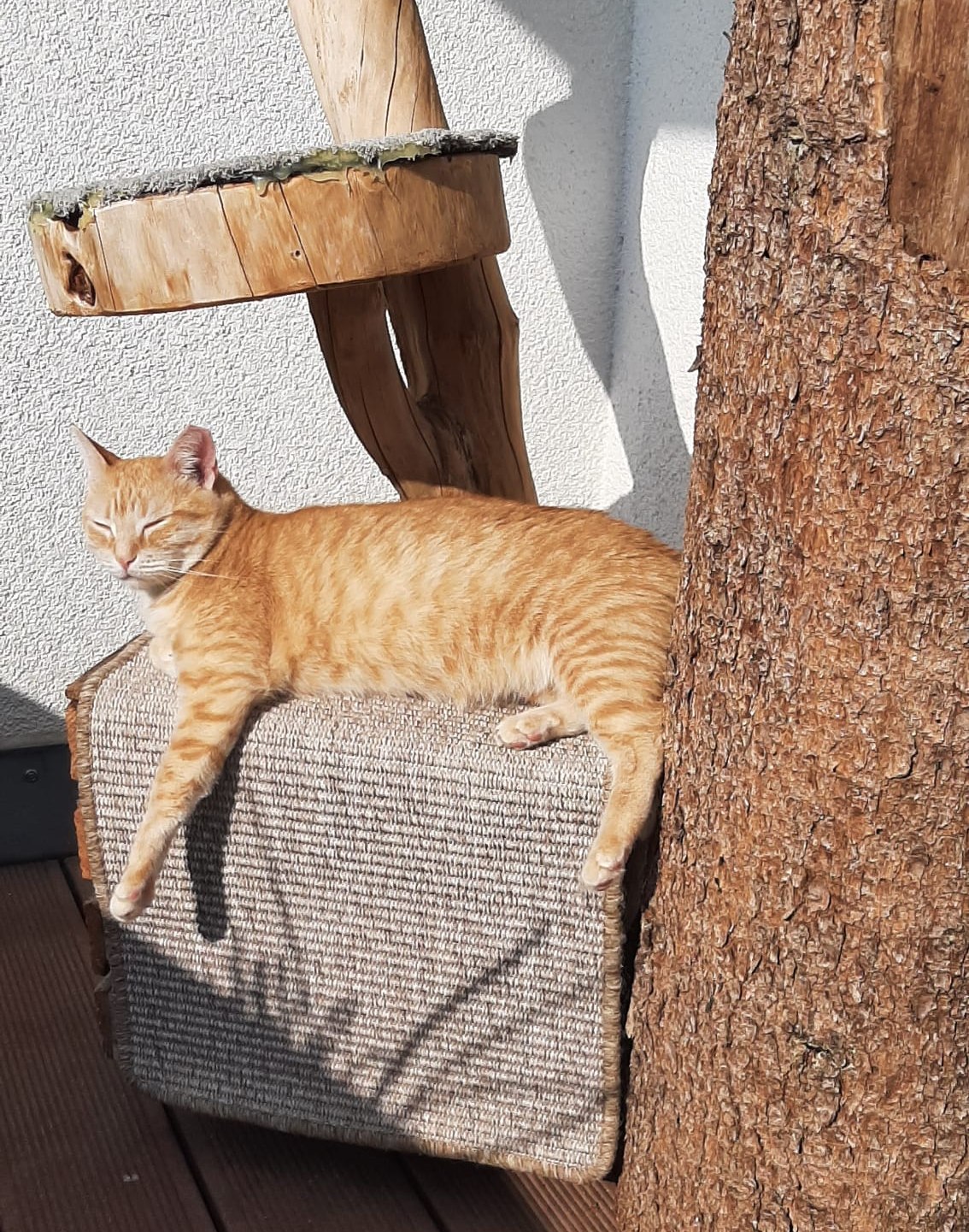 Jolene in her paradise! 💖🙏