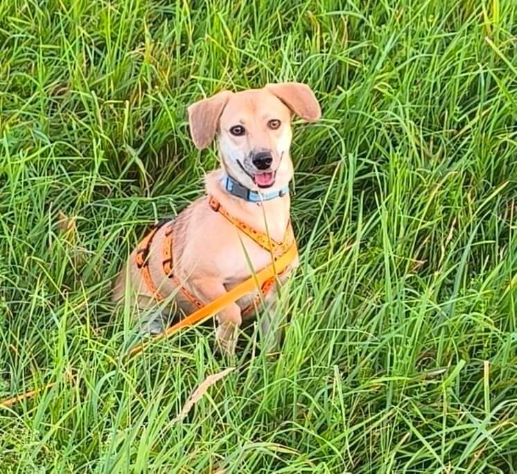 Happy ending for Dominique