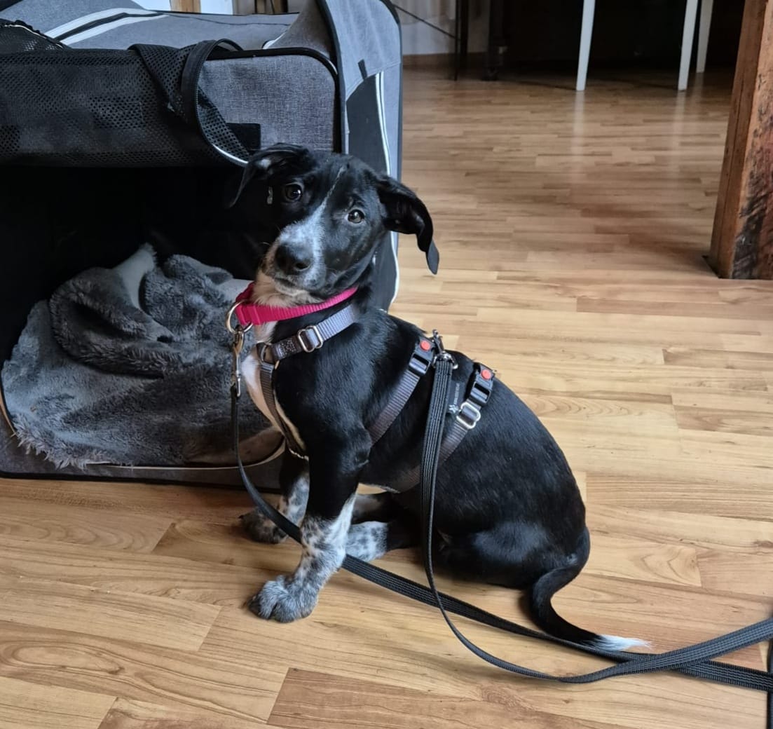 Quarta arrived well! 🥰🤗