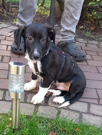 The little cutie Tertius arrived well yesterday too! 💖