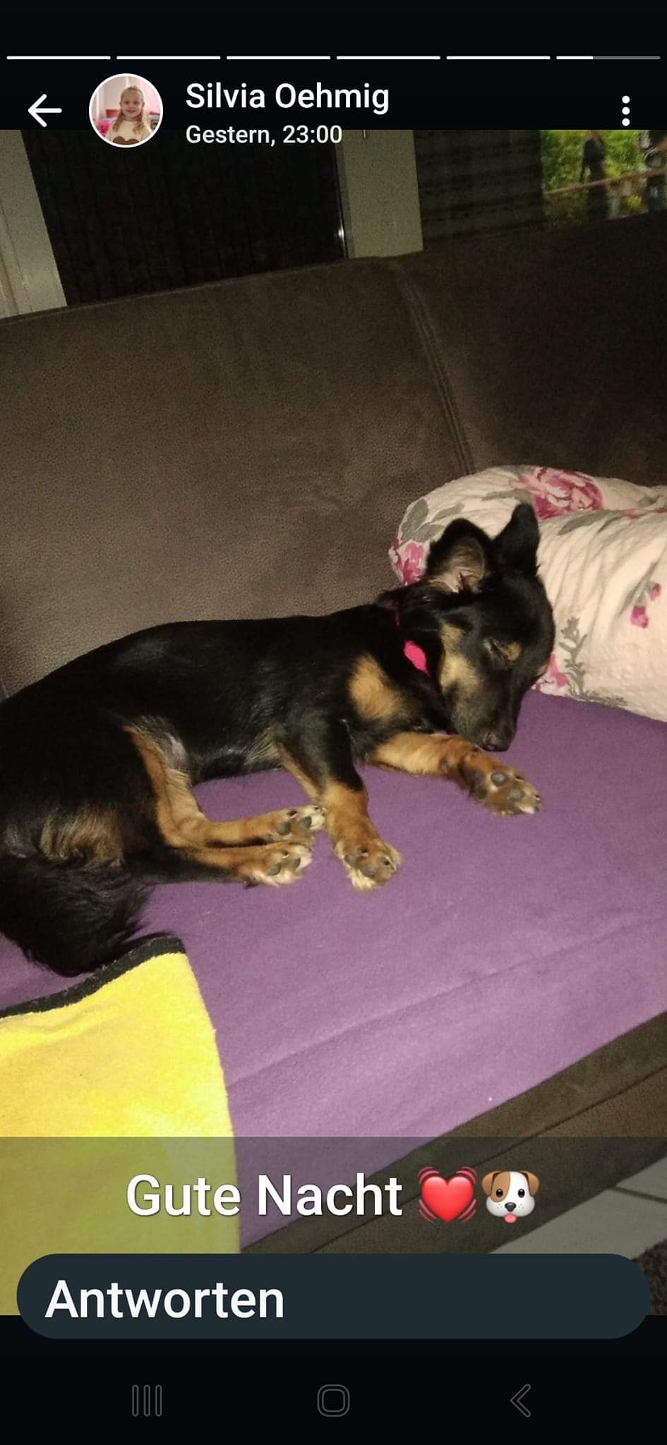 Dali has arrived safely to her family! 🤩