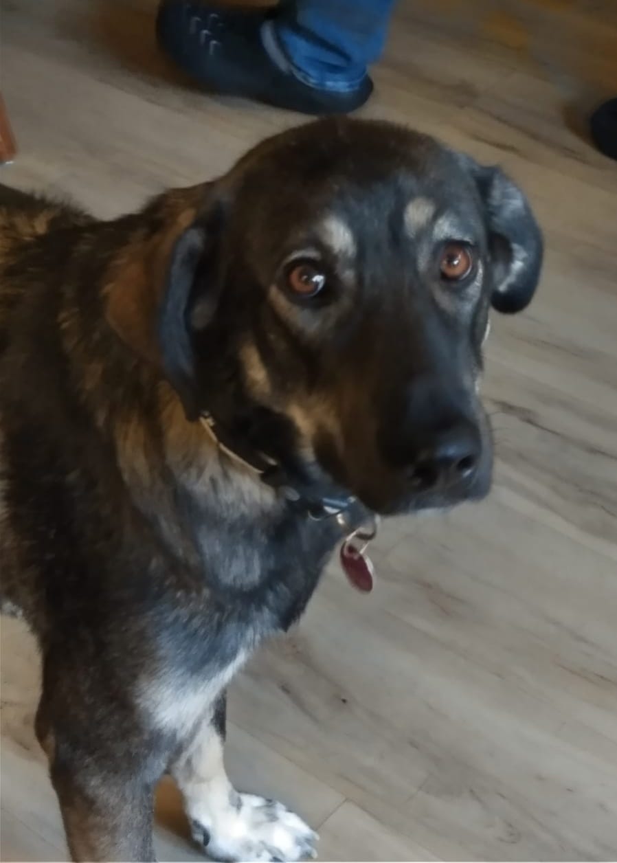 Cici has integrated into her family wonderfully! 🥰