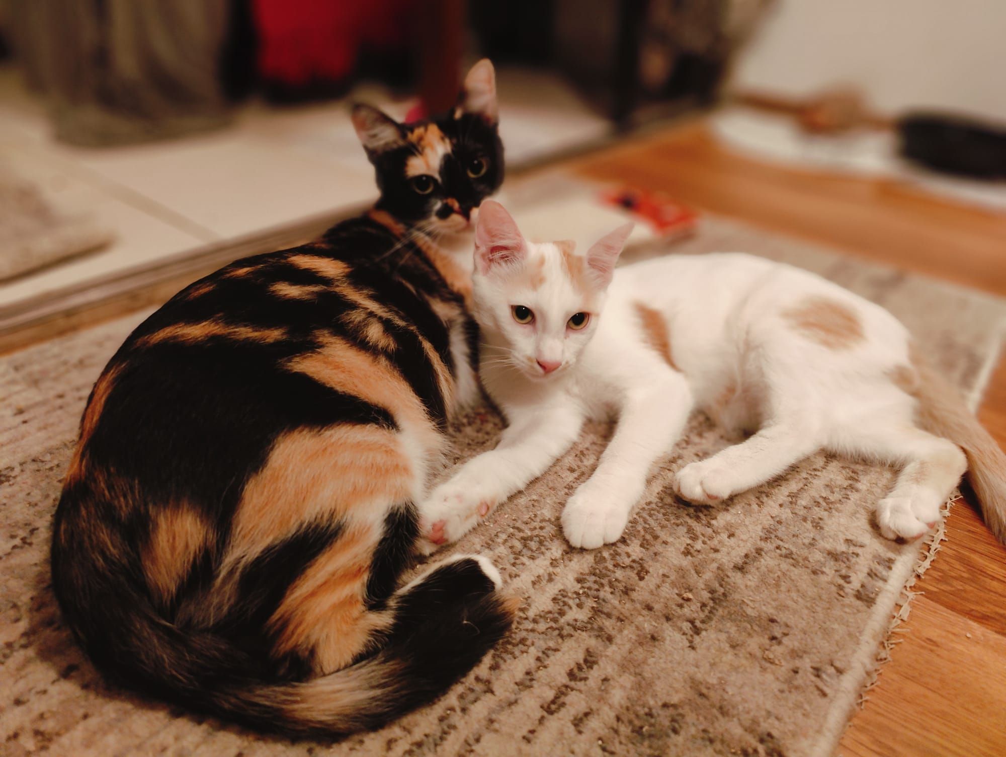 Departure day 06.12.2024! 💖🙏🍀