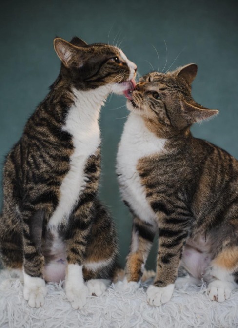 Departure day 10.01.2025! 🥰🍀🙏