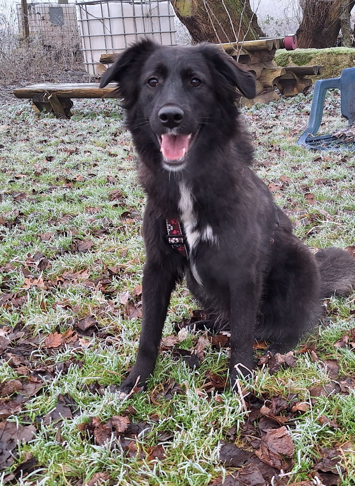 Luna celebrated her first birthday 💖🥳