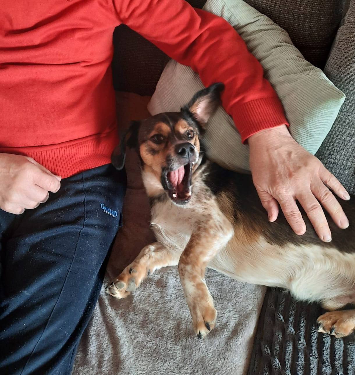 Little Pixie is so happy! 🙏🥰