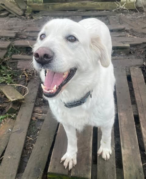 Departure day 21.02.2025! 🍀🥰🙏