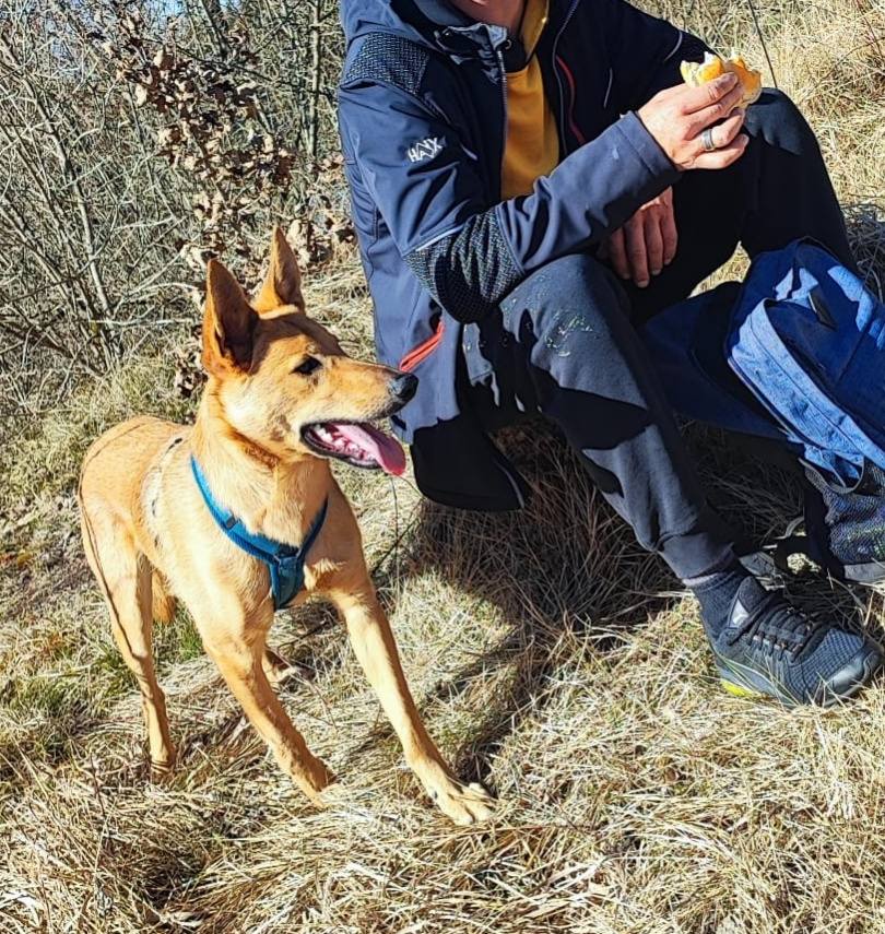 Milo is doing great! 💖🥳