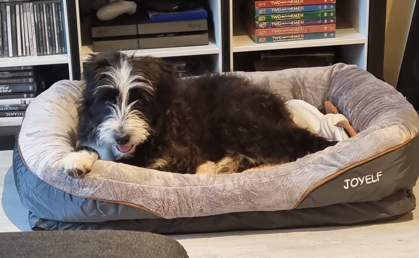 Jule is here! Her family is happy to finally have her with them! 🥳💖