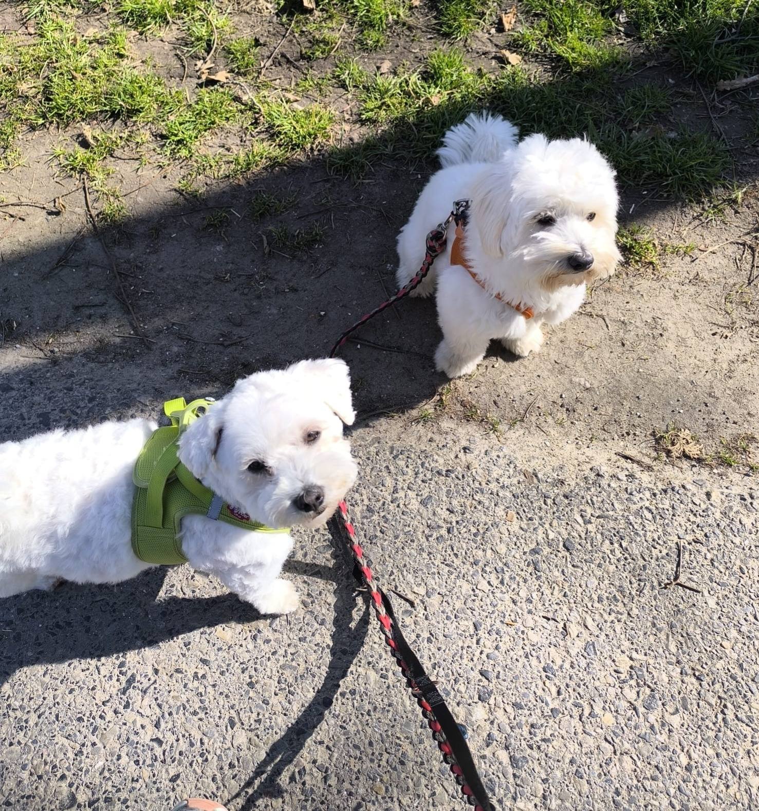 Alfie is very happy with his girlfriend Candy 💖