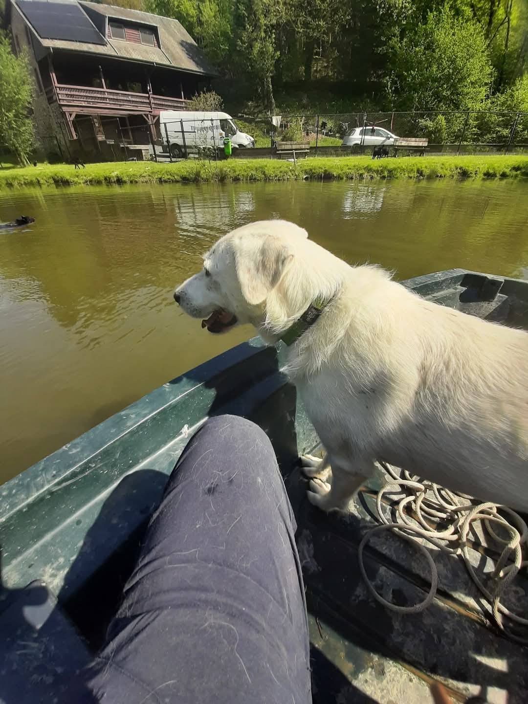 Jack is doing very well and sends his love! 💖🙏