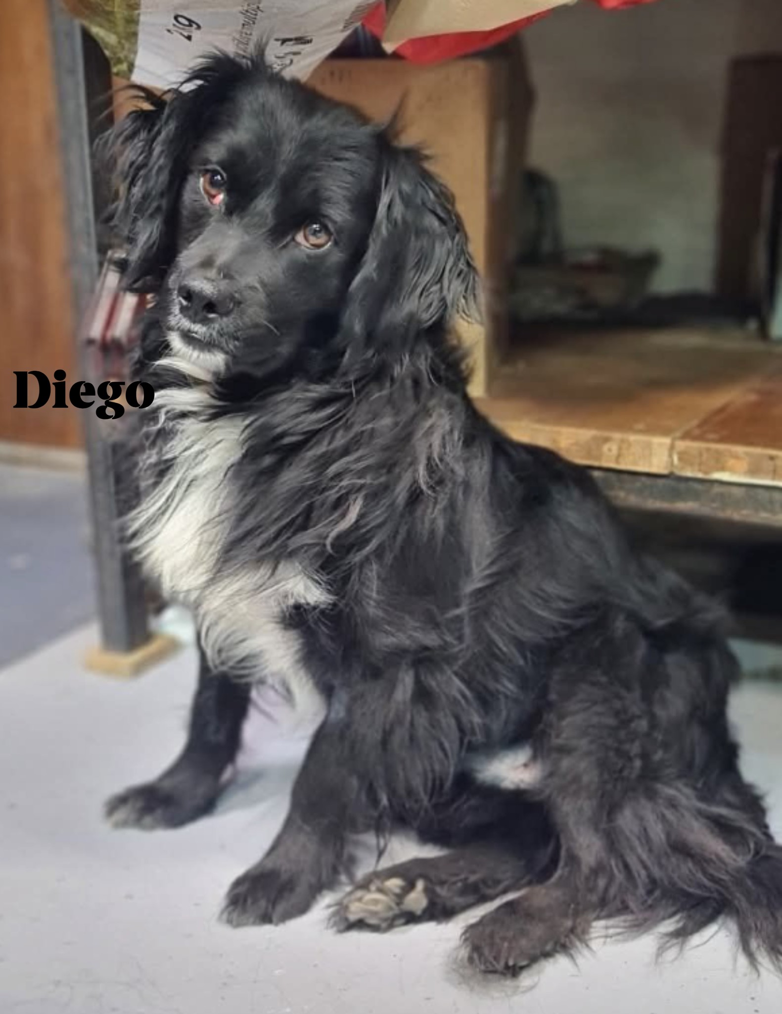 Departure day 01.08.2025! 🍀🥰🙏