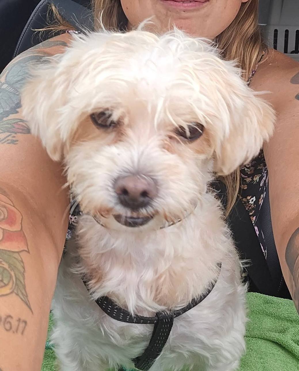 Little Jessie, now Amy, has already enchanted her family! 🥰🤗