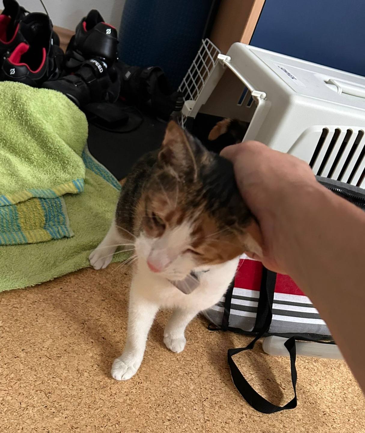 Alma came straight out of her box into the arms of her new family! 🤗💖