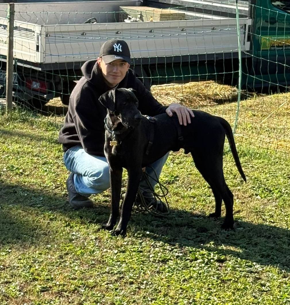 Rocky Max has settled in well with his new family! 💖🙏