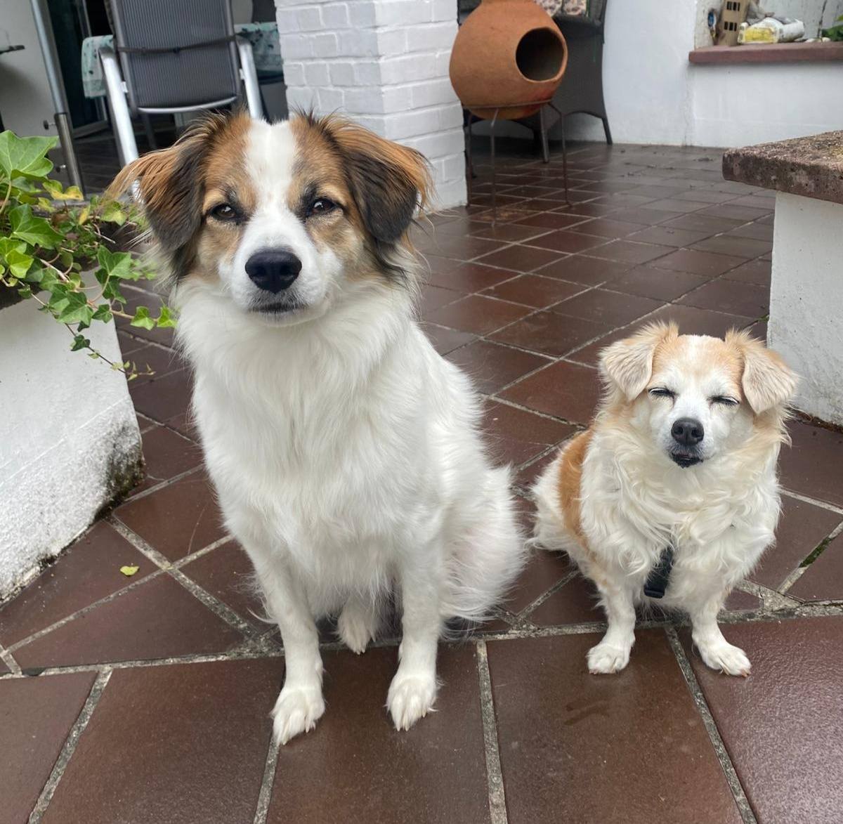 Mariposa says hi! She’s the big sister now! 🤗💖😁