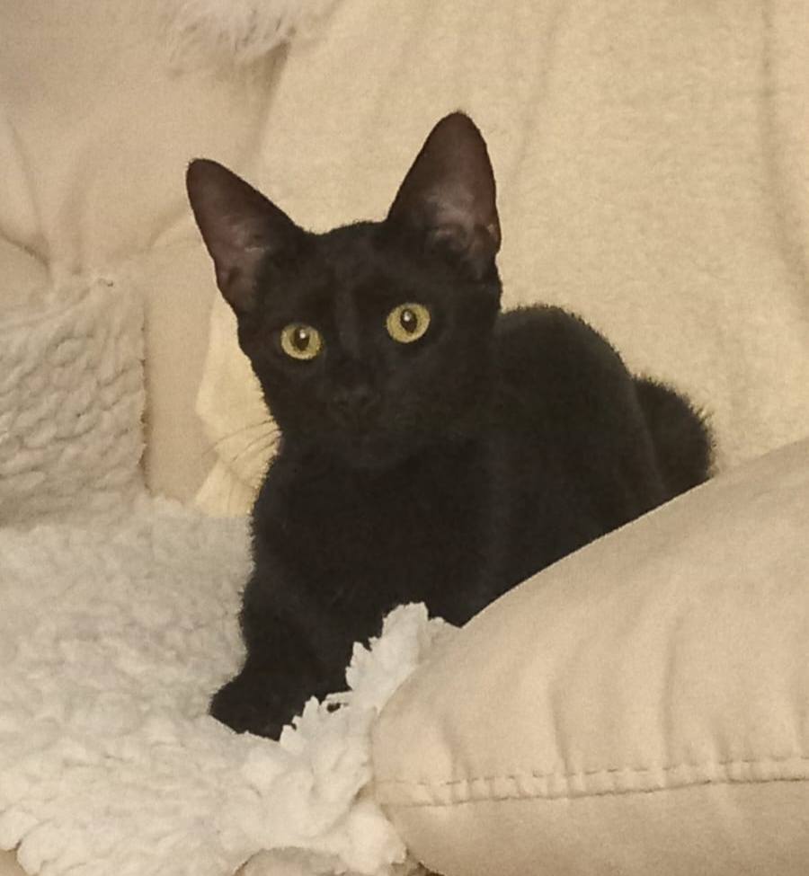 Muz has already settled in very well! 🤗💖