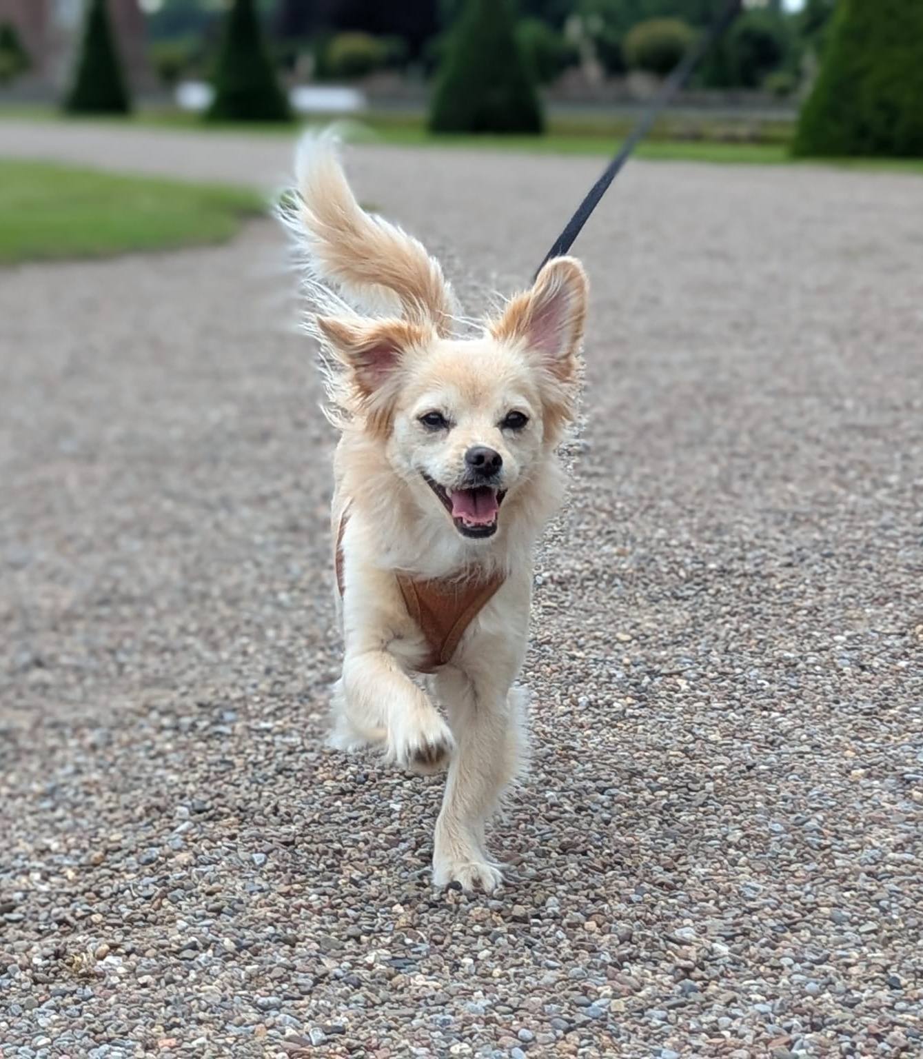 Little Pearl is now called Belanna! 🤗🥰