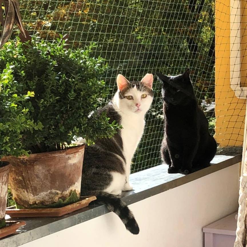 Love from Spotty! 💖