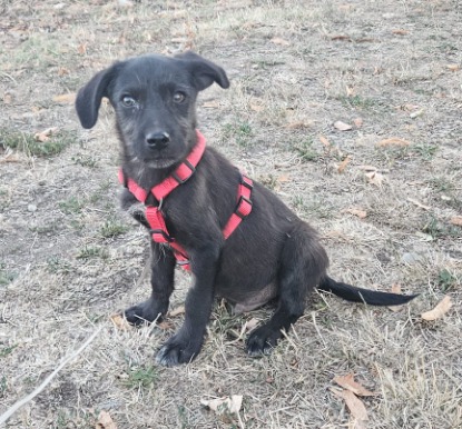 Departure day 19.09.2025! 💖🙏🍀