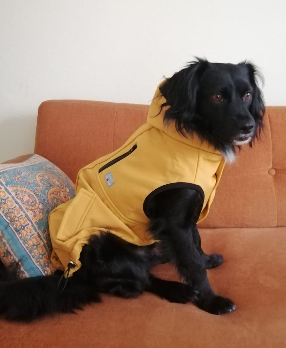 Sweet Diego is already preparing for winter! 😍