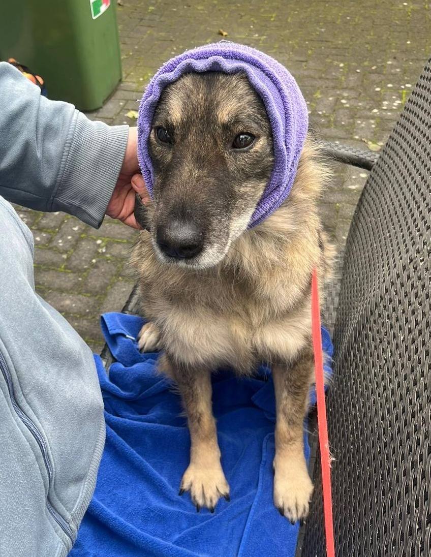 Betty also got her first wellness treatment! 🥰🤗