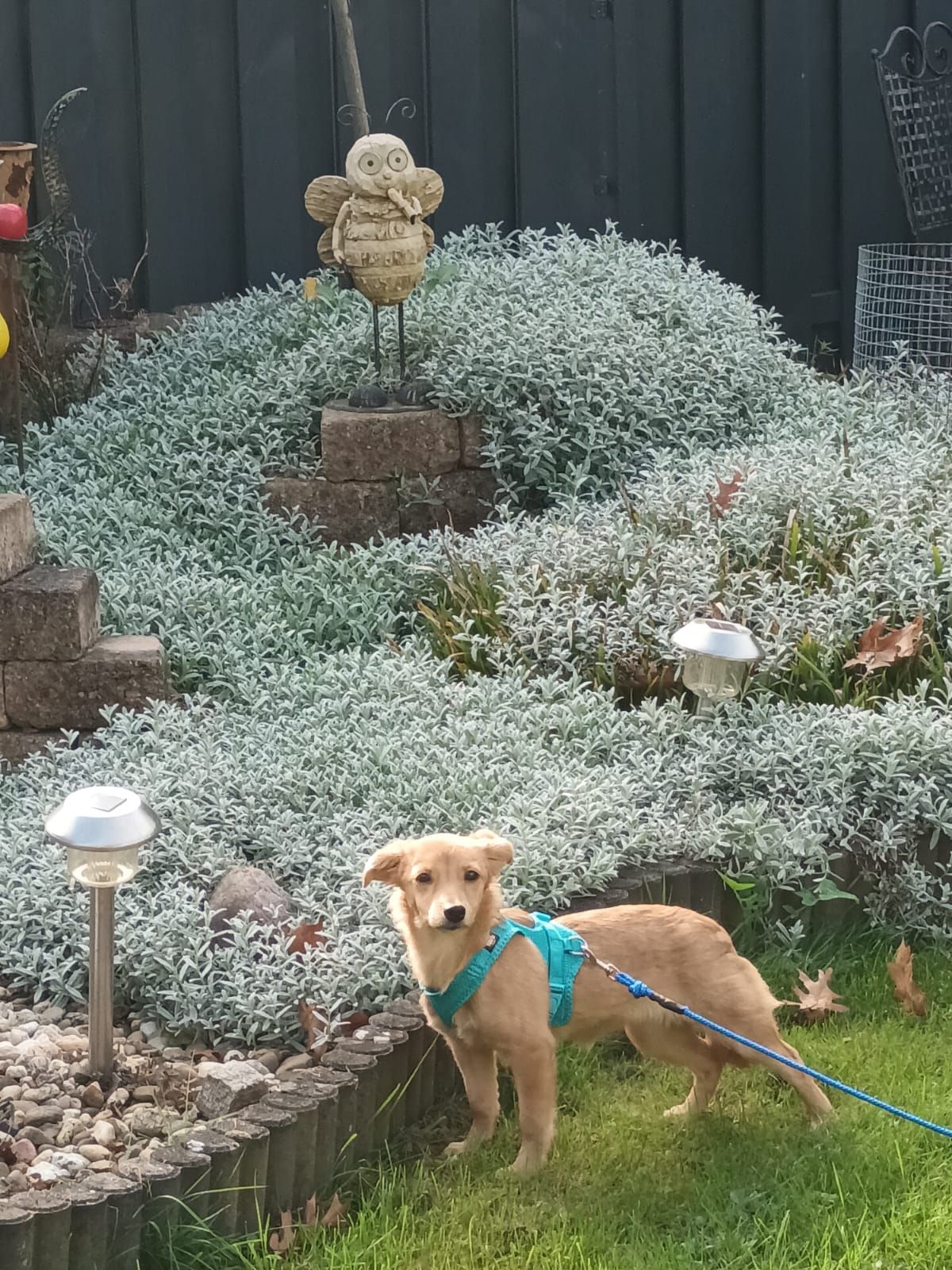 Senna has found her family! 🥰🙏🤗