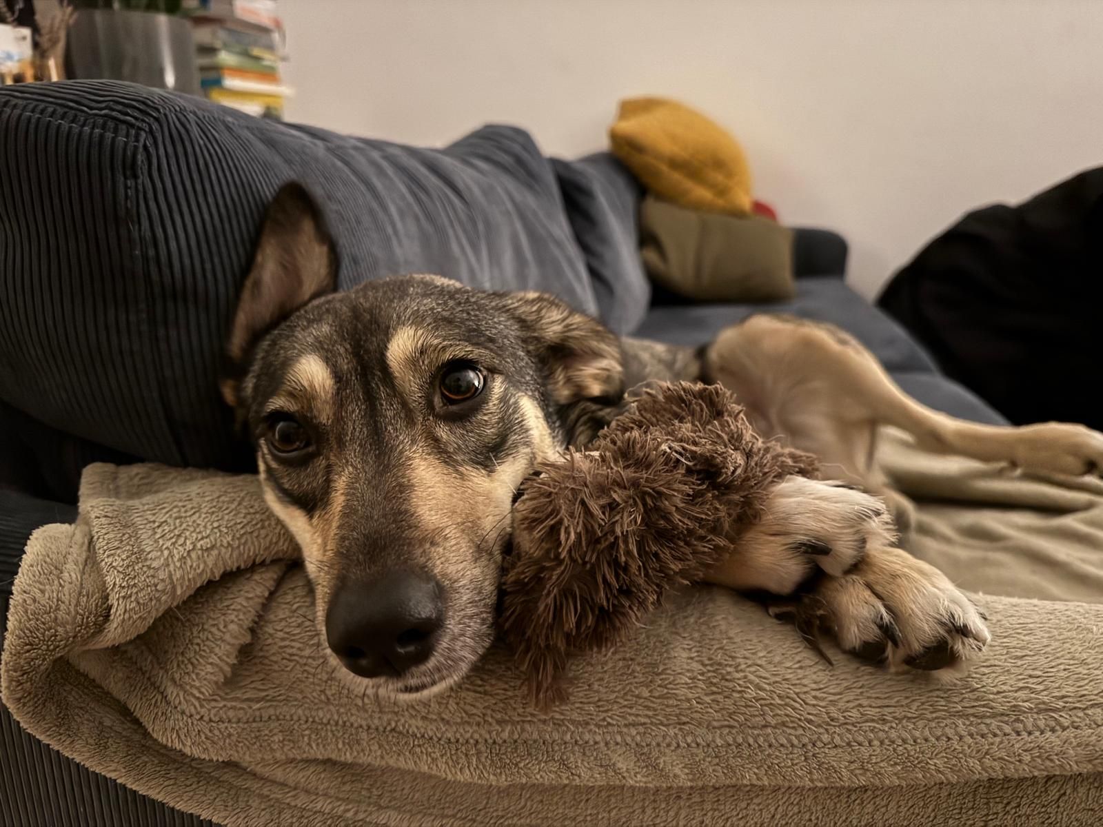 Greetings from Kiki, everything is going great! 🤗🥰