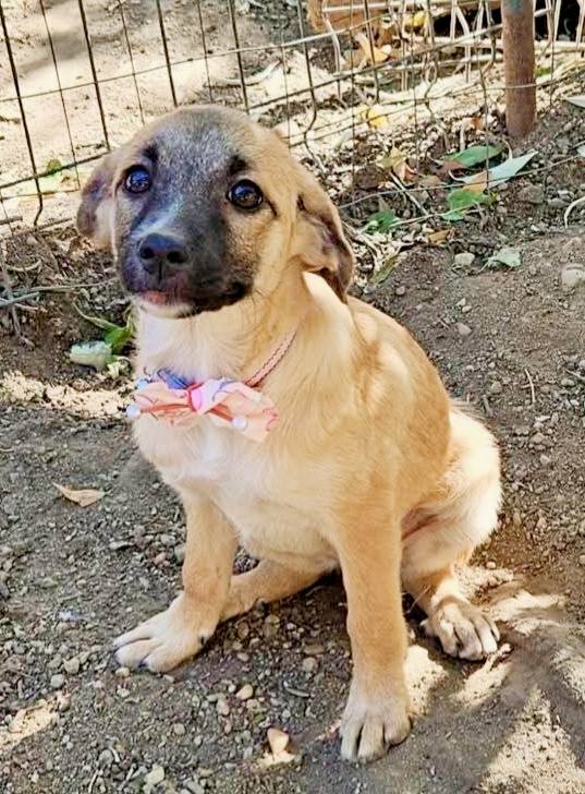 Departure day 24.10.2025! 🍀🥰